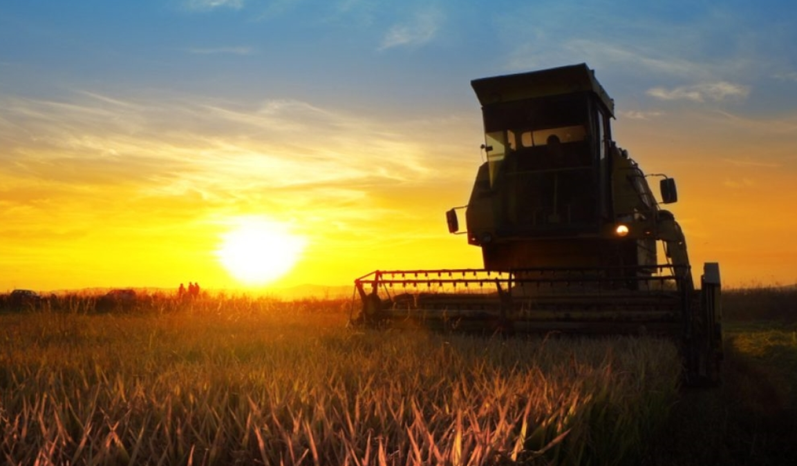 agronegocio em nova mamore e rondonia