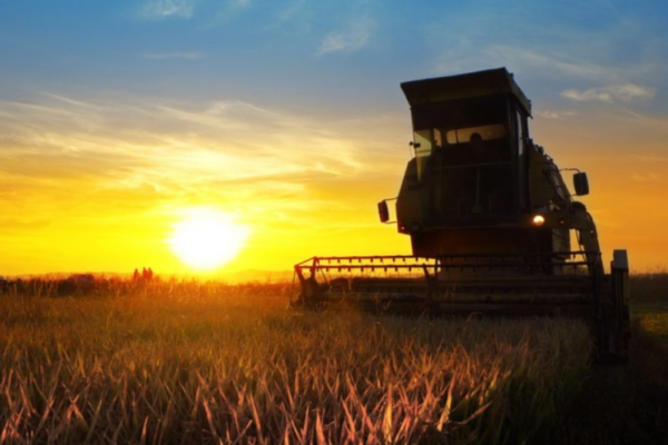 agronegocio em nova mamore e rondonia